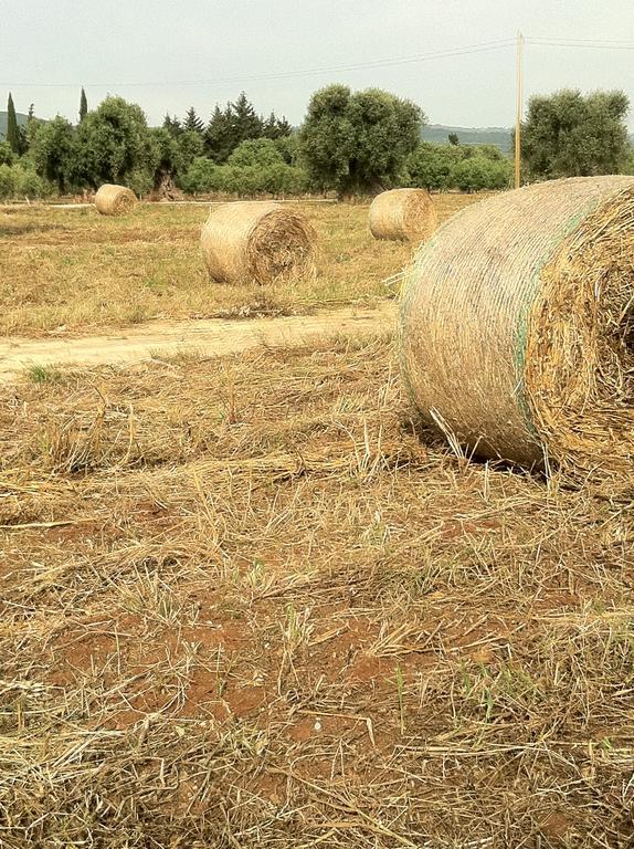 Masseria Torremossa Fasano Ngoại thất bức ảnh