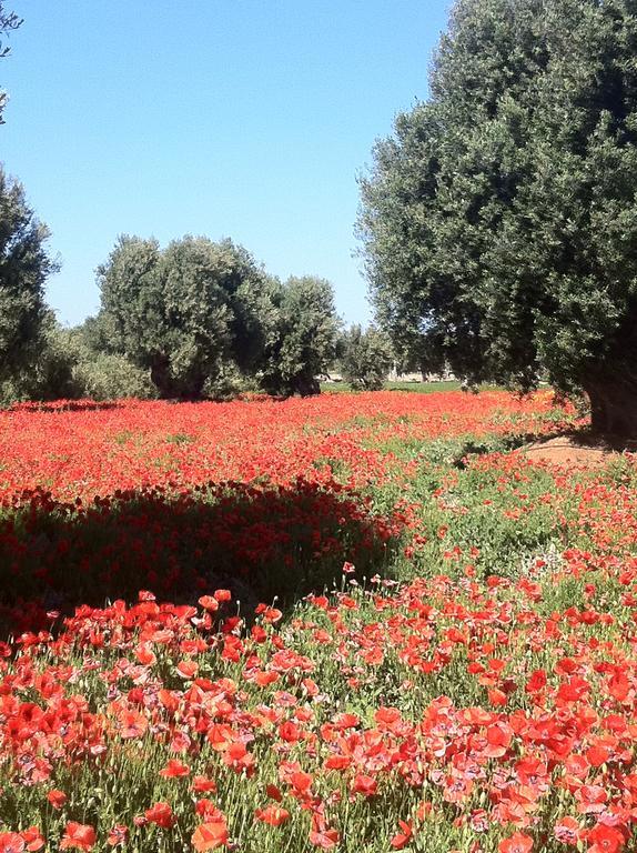 Masseria Torremossa Fasano Ngoại thất bức ảnh