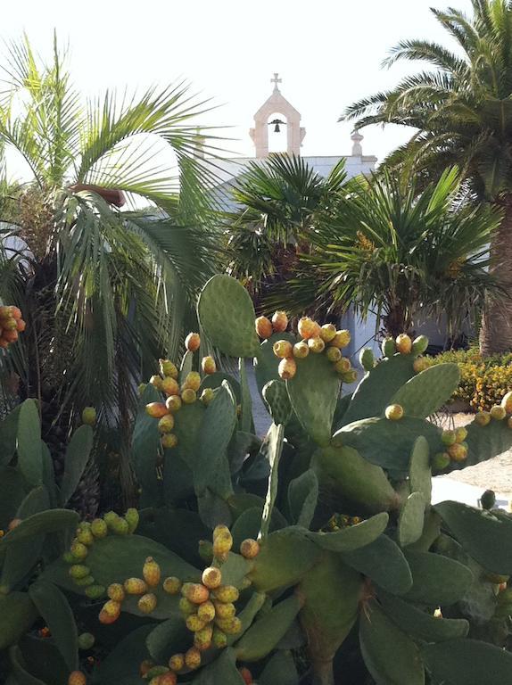 Masseria Torremossa Fasano Ngoại thất bức ảnh