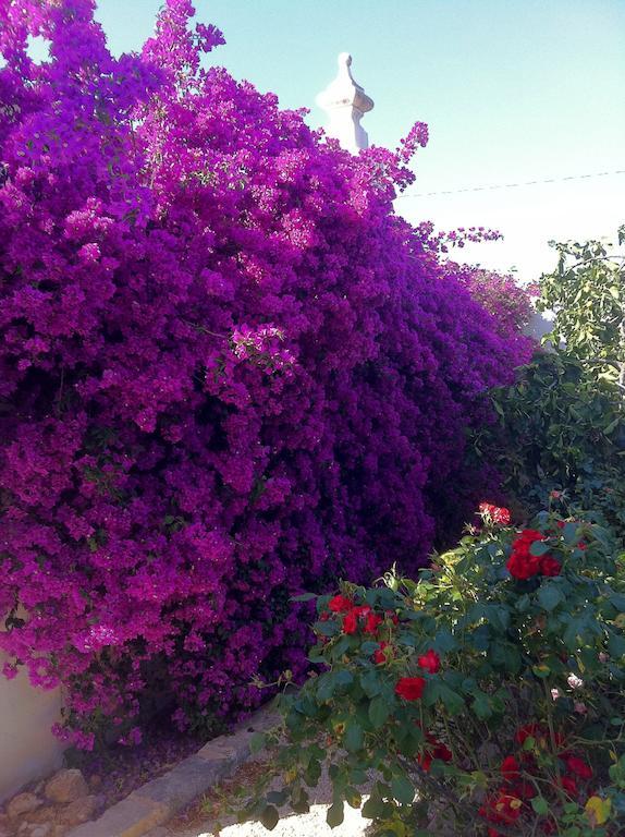 Masseria Torremossa Fasano Ngoại thất bức ảnh